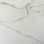 Calacatta Gold Porcelain Matte