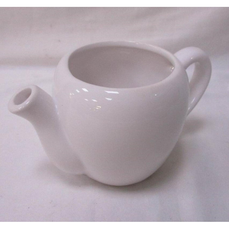 Teapot Shaped Planter