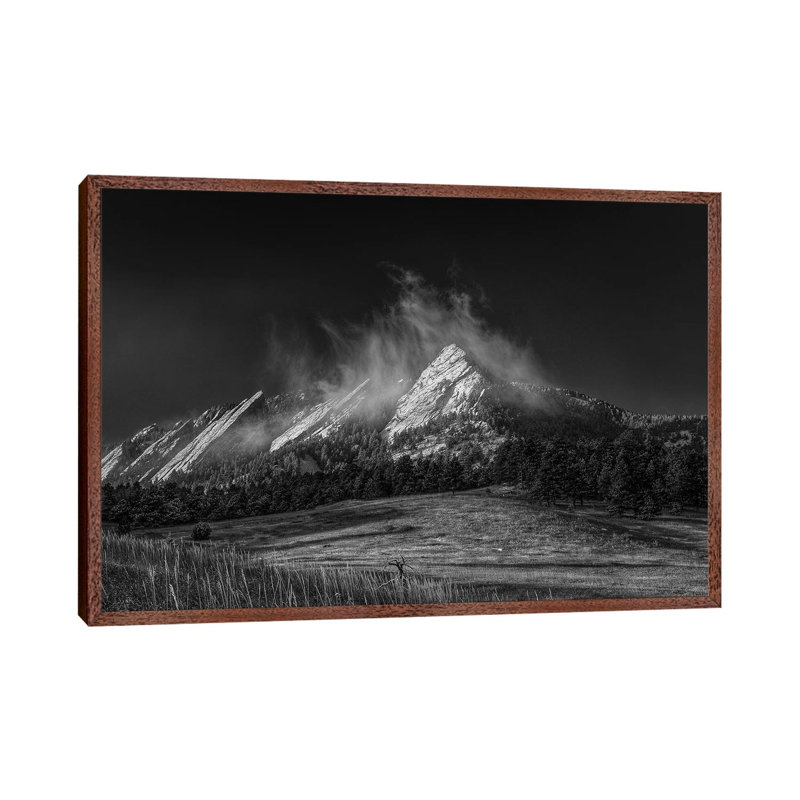 Frozen Whimsey, B&W 1 Piece Wall Art on Canvas, 66.04 cm H x 45.72 cm W, Classic Wood Framed