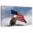 Brampt Perched Eagle American Flag-108692362