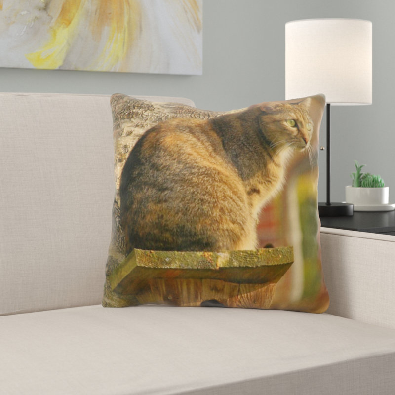Coussin pour chat