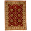 Wool Oriental Area Rug in Red/Beige