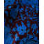 Fine Vibrance One-of-a-Kind 12' x 18'2" Hand Knotted Area Rug