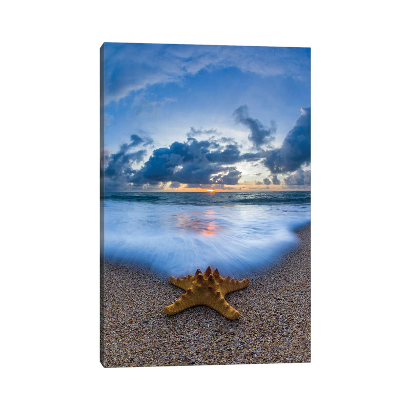 Starfish Sea Foam by Sean Davey - Print on Canvas, 66.04cm H x 45.72cm W x 3.81cm D, Wrapped Canvas