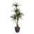 72'' Faux Dracaena Tree in Metal Planter