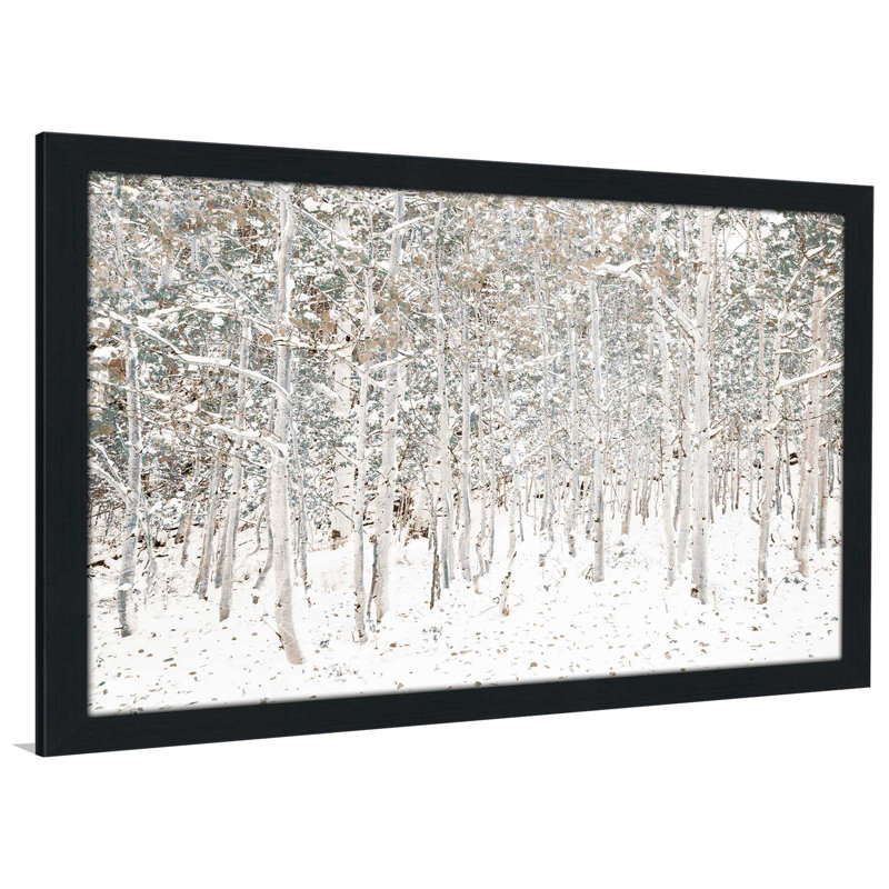 «White Snow Wonderland» par Shelley Lake - reproduction de photo encadrée, H 27,5 po x l 39,5 po x P 0,75 po, Cadre espresso