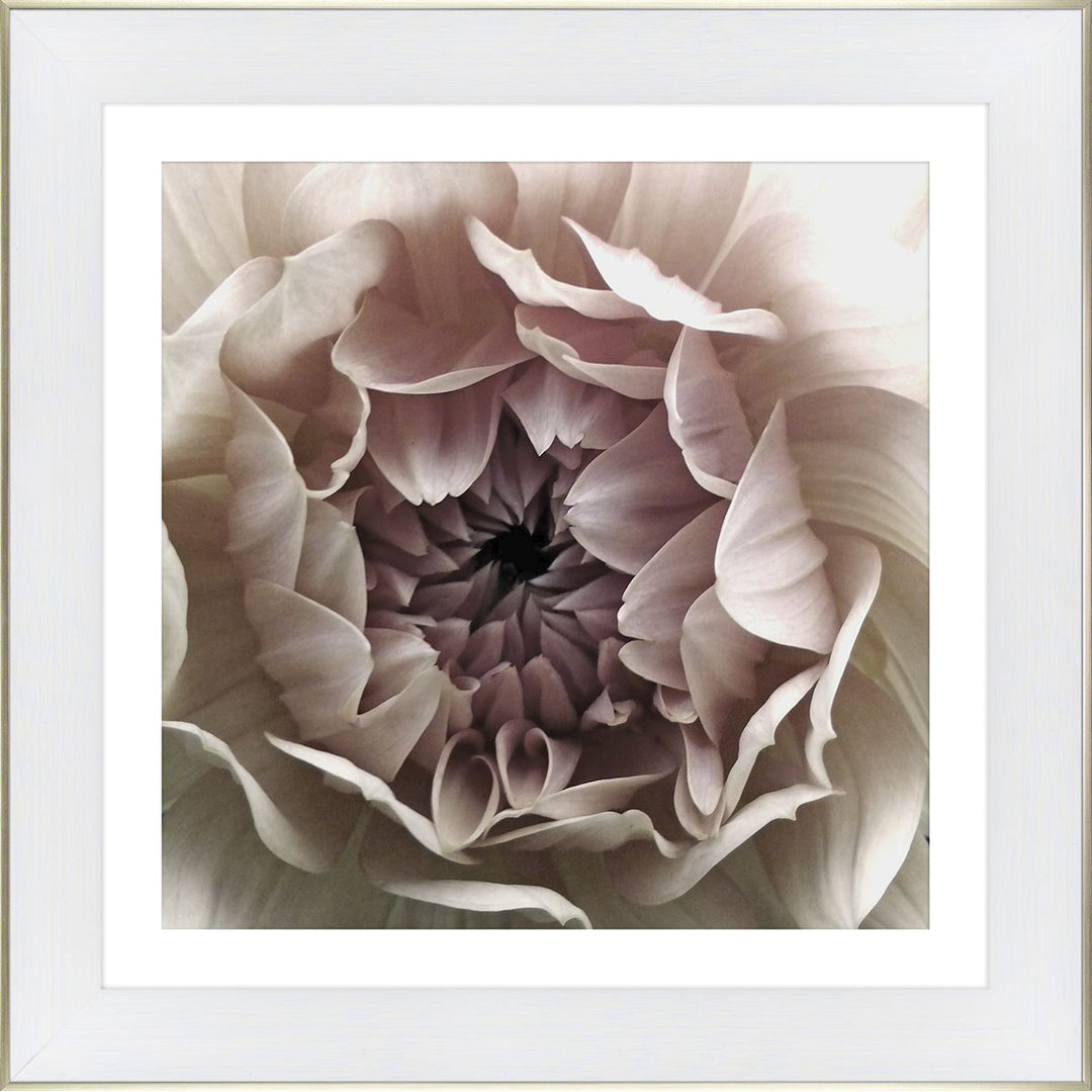 Gerahmtes Poster White Flower No. 2