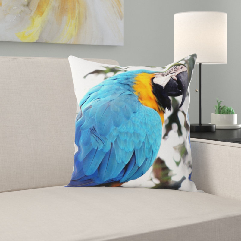 Coussin ara