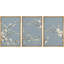 Fleurs de cerisier japonais minimes-102297390-102297392