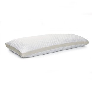 https://assets.wfcdn.com/im/04143165/resize-h310-w310%5Ecompr-r85/1912/191208924/nue-by-novaform-body-pillow-with-antimicrobial-cool-cover.jpg