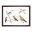 Five Hummingbirds by Johan Teyler - Picture Frame Art Print-55609338-55609340