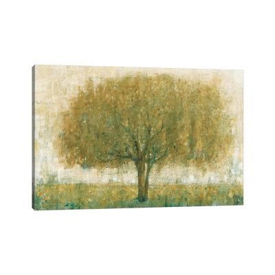 Summer Day Tree II by Tim OToole - Wrapped Canvas Painting