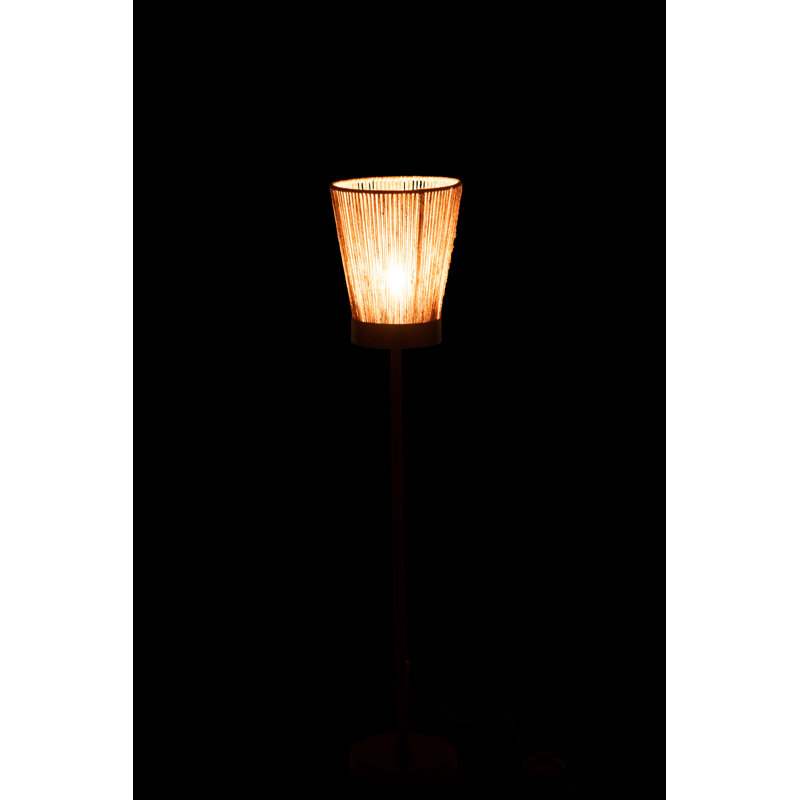 100 H cm Floor Lamp