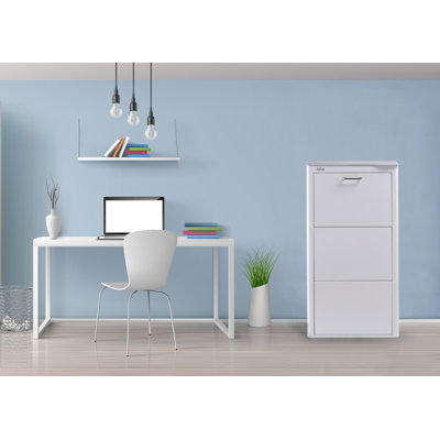 9 Pair Shoe Storage Cabinet