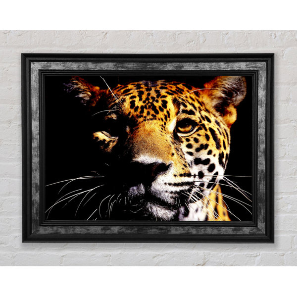 Bright Star Leopard Pray - Single Picture Frame Print | Wayfair.co.uk