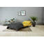 Trahan 1 Seater Fold Out Sofa Bed-1552458294-1515450123
