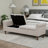Upholstered Button-Tufted Storage Bench With Double Lids-1365589410