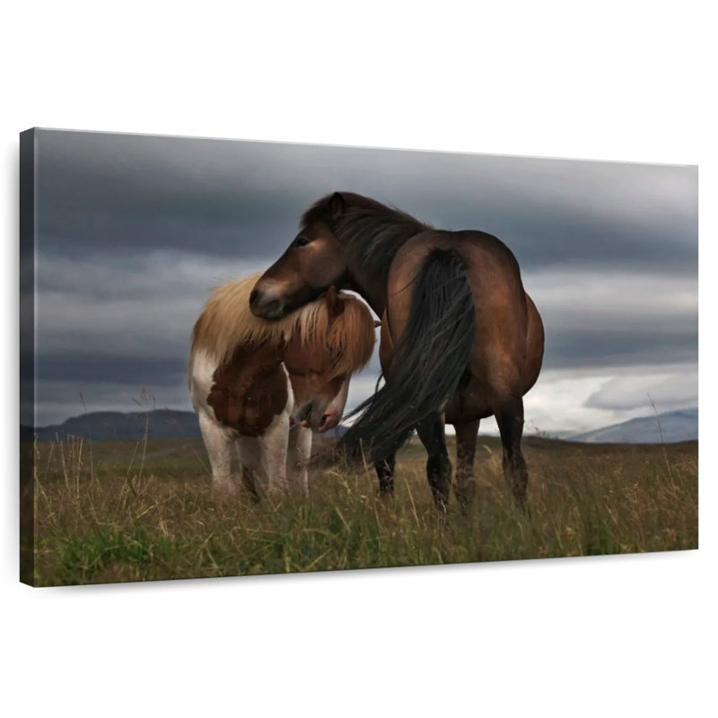 Brampt Free Iceland Pony, 24" H x 36" W