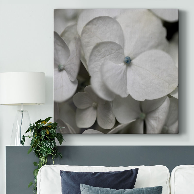 Hydrangea II sur toile, H 16 po x l 16 po x P 1,5 po