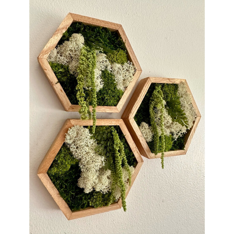 Moss Wall Art