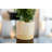 Christmas Decorative Accent