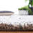 Poynter Area Rug-751110750