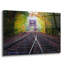 Art mural en verre épique «White Mountain Autumn» par Rick Berk-307649780