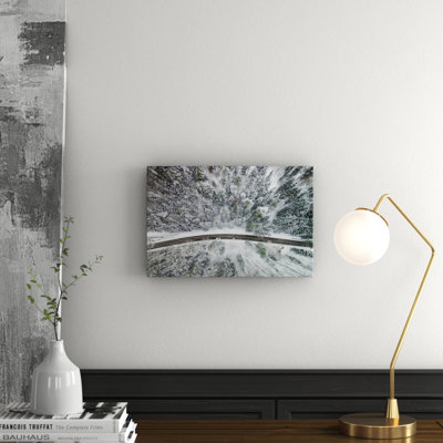 Karolis Janulis - Wrapped Canvas Print