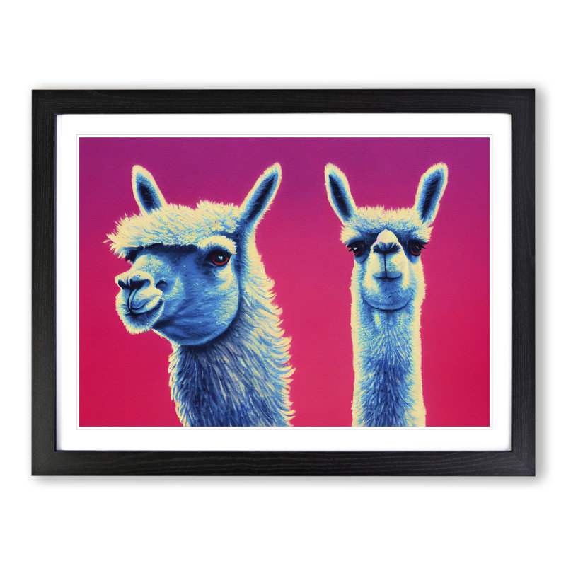 Colourful Llamas Vol.1 - Print, Black Framed, 25cm H x 34cm W x 2cm D