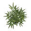 Plante artificielle verte avec feuillage Jeramiah