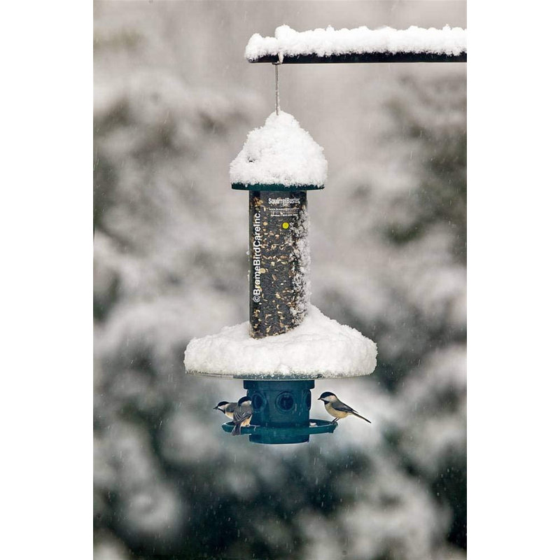 Brome Weather Guard For Squirrel Buster Plus Bird Feeder