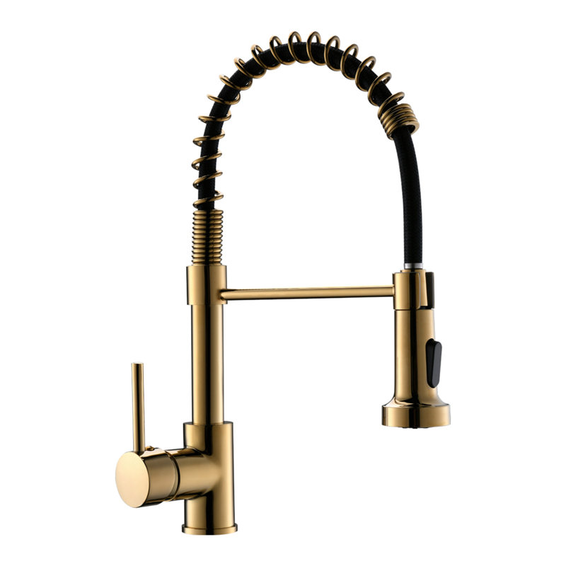 Robinet d'évier de cuisine à poignée simple Topcraft, Or brossé