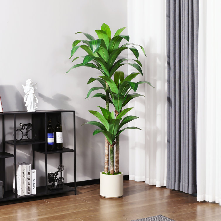 Adcock Artificial Dracaena Tree in White Planter, Lifelike Fake Plant for Indoor and Outdoor Décor