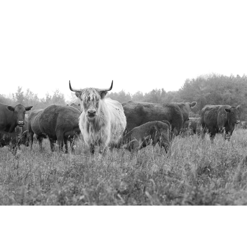 On The Ranch III by Andre Eichman - Wrapped Canvas Print, 81cm H x 122cm W