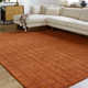 Mallory Mocha Hand Tufted Area Rug