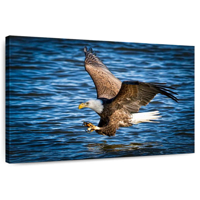 Brampt Bald Eagle Fishing, 26" H x 39" W