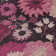 Machine Washable Indoor/Outdoor Mattis ACN2295 Floral Rug