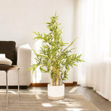 36 Inches Artificial Bamboo Tree In Nursery Pot