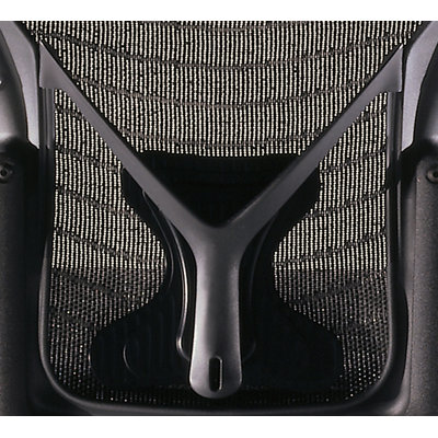 Aeron® Back Support