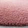Schwanke Shag Performance Solid Color Rug