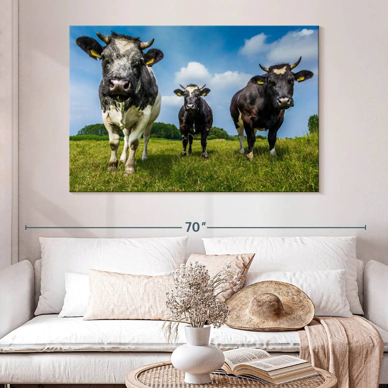 Vache, H 34 po x l 51 po