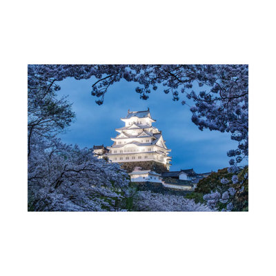 Himeji Castle At Night by Jan Becke - Wrapped Canvas Print