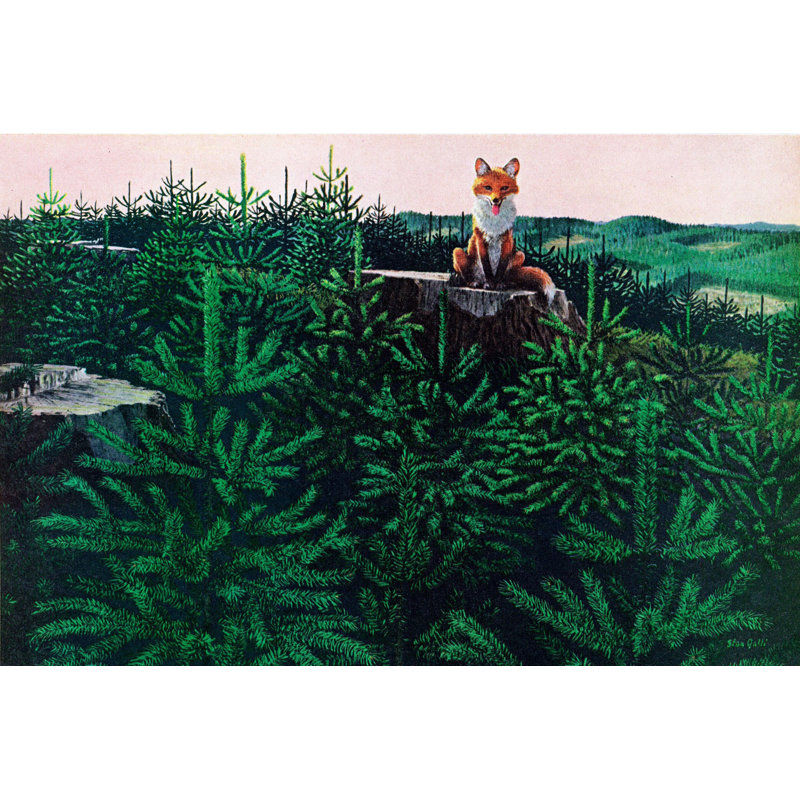 1 Piece Wrapped Canvas Wall Art, 61cm H x 91cm W x 3.81cm D
