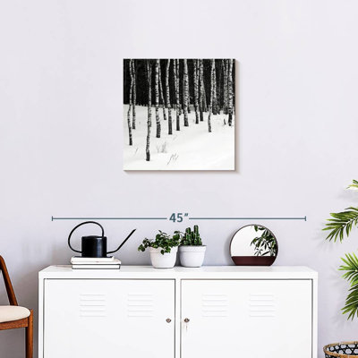 Harnek Birch In Snow