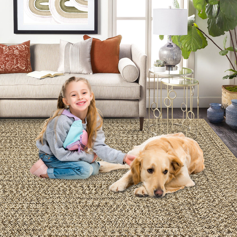 Area Rug