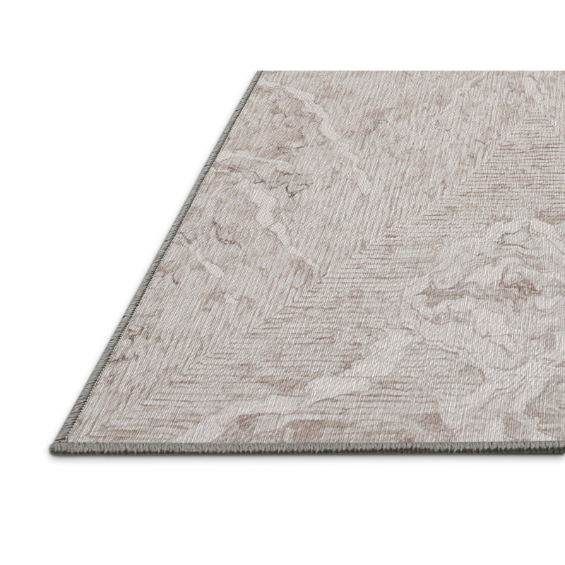 Machine Washable Gray Area Rug, Rectangle 5' x 8'