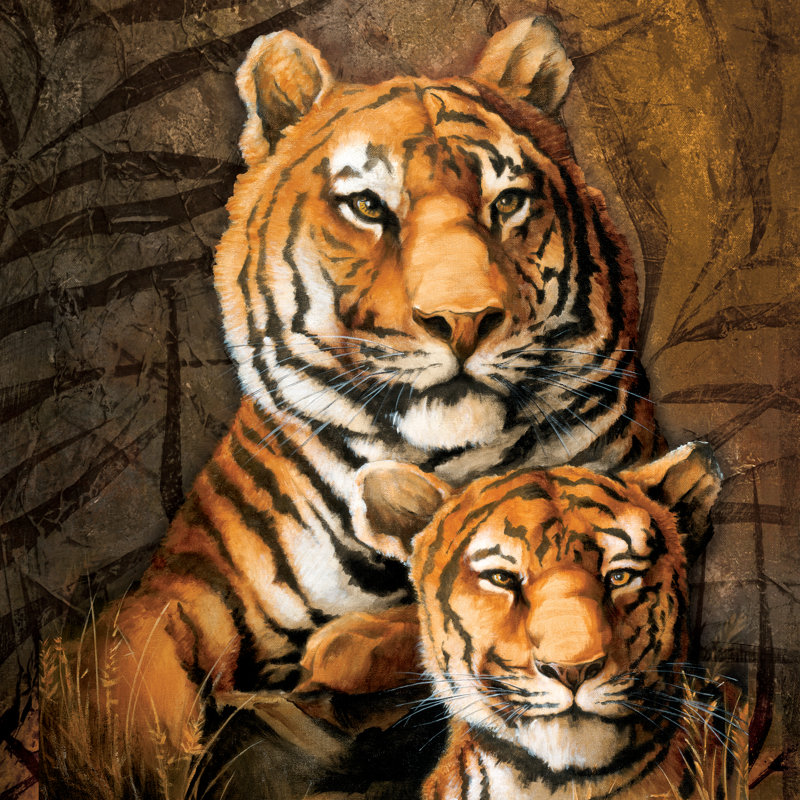 Tiger Tiger - Wrapped Canvas Print, 76cm H x 76cm W x 3.8cm D