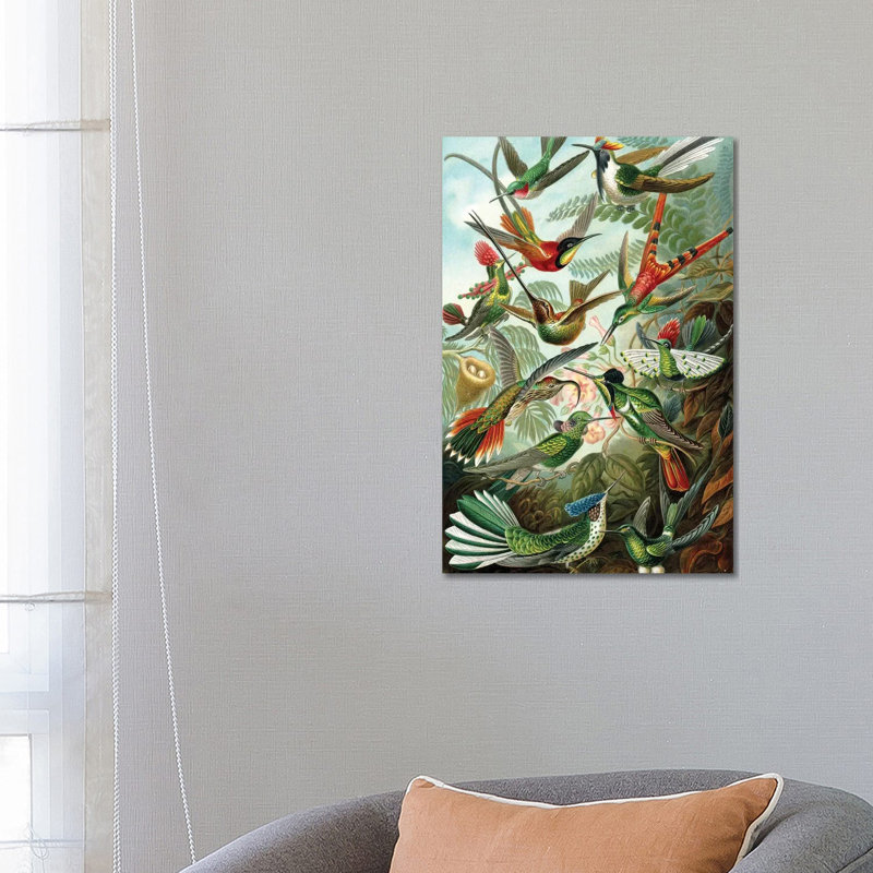 Haeckel Hummingbirds by PatentPrintStore - Wrapped Canvas Print, 66.04 cm H x 45.72 cm W x 3.175 cm D