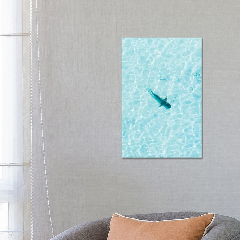 Shark In The Shallows by Jaxon Roberts - Wrapped Canvas Gallery-Wrapped Canvas Giclée, 66.04 cm H x 45.72 cm W x 1.91 cm D