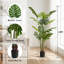 Fausse plante Monstera Deliciosa-1550494627